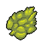Strain 11