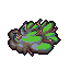 Strain 15