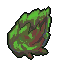 Strain 19