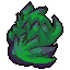 Strain 24