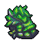 Strain 25
